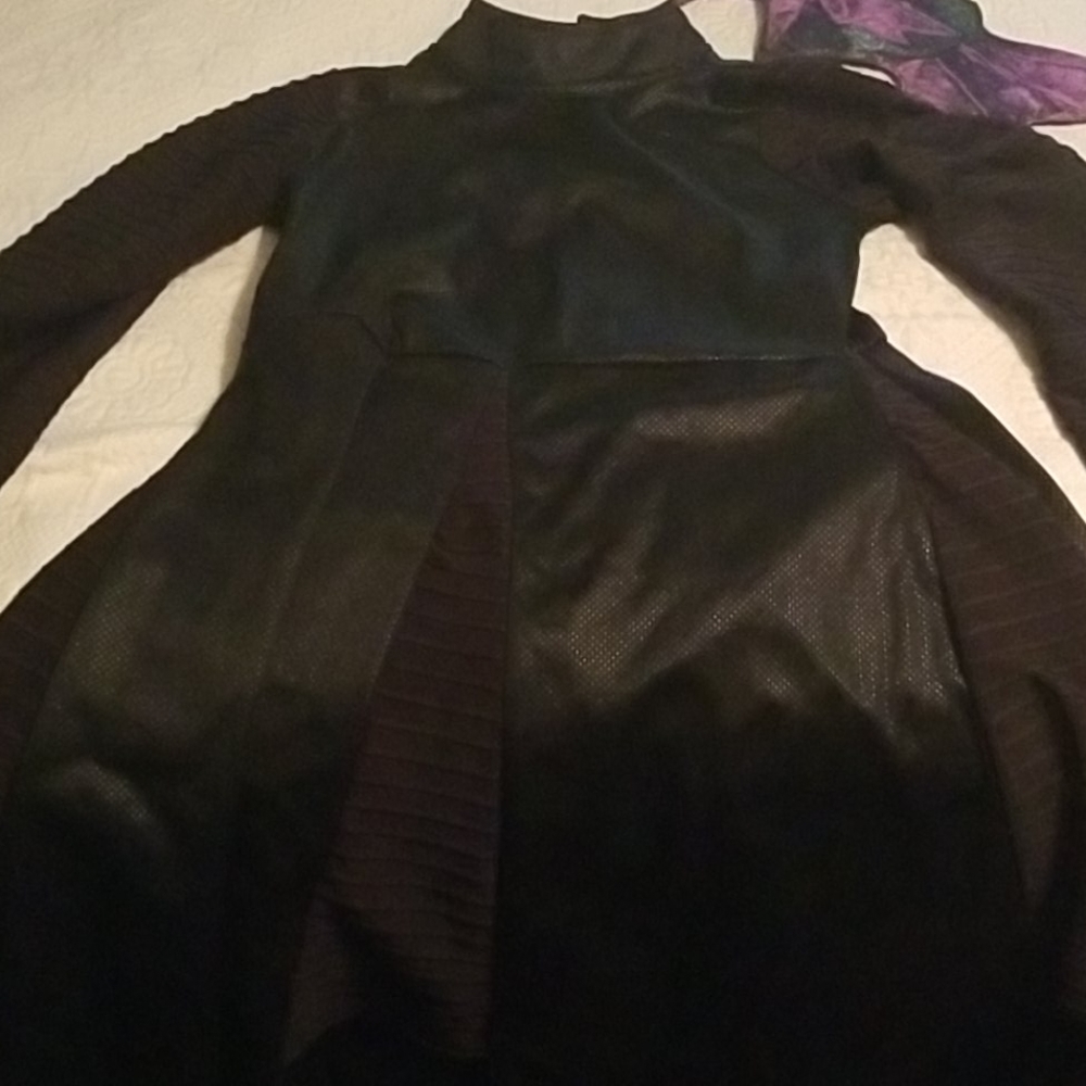 Adult disney costume